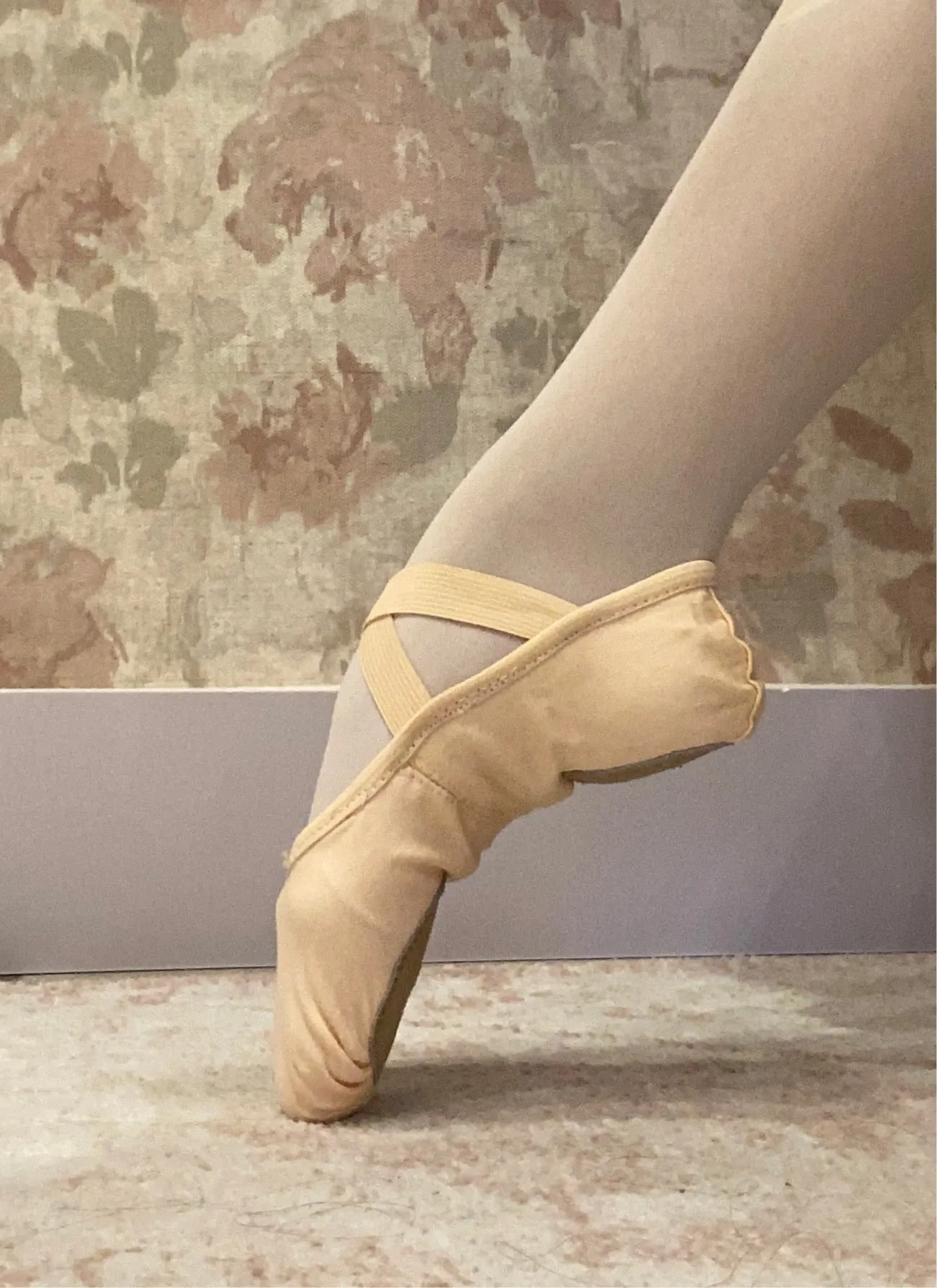 Adult Split Sole Stretch Canvas Ballet Shoe