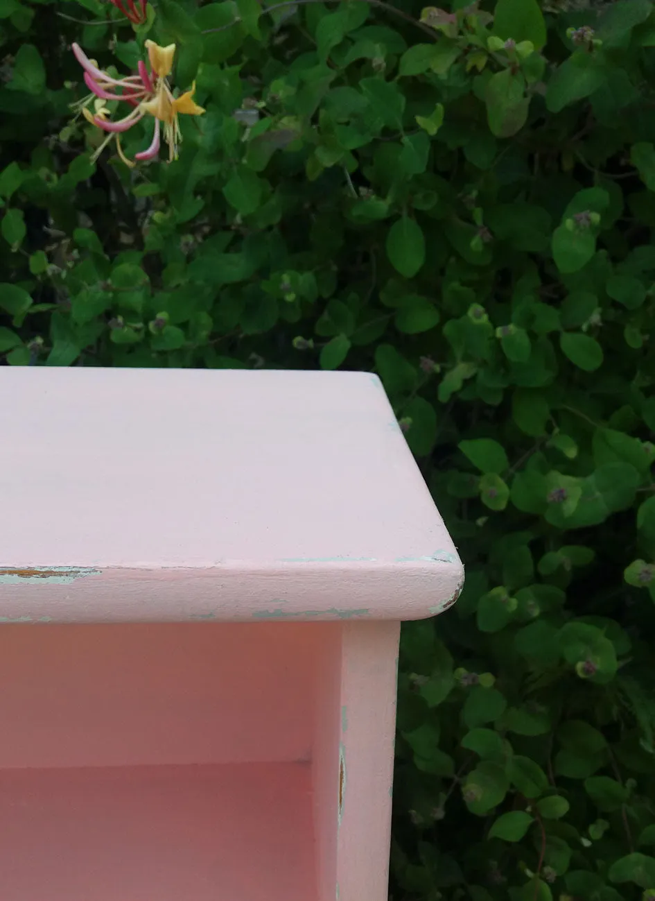 Custom Listing for Sinead painted bookshelf bookcase