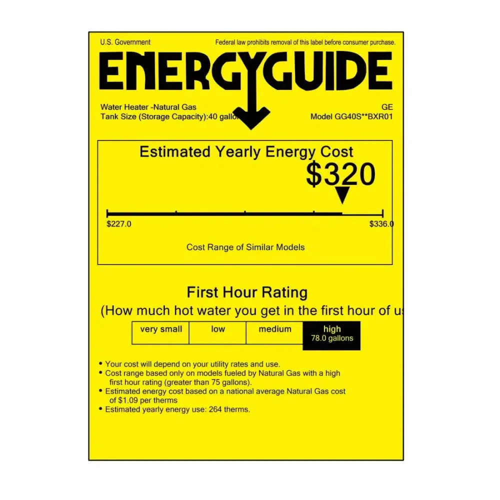 GE RealMAX Atmospheric Platinum Model 40 Gallon Capacity 38,000 BTU Heating Input Short Natural Gas Water Heater