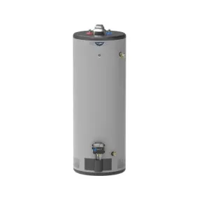 GE RealMAX Atmospheric Platinum Model 50 Gallon Capacity 36,000 BTU Heating Input Tall Liquid Propane Water Heater