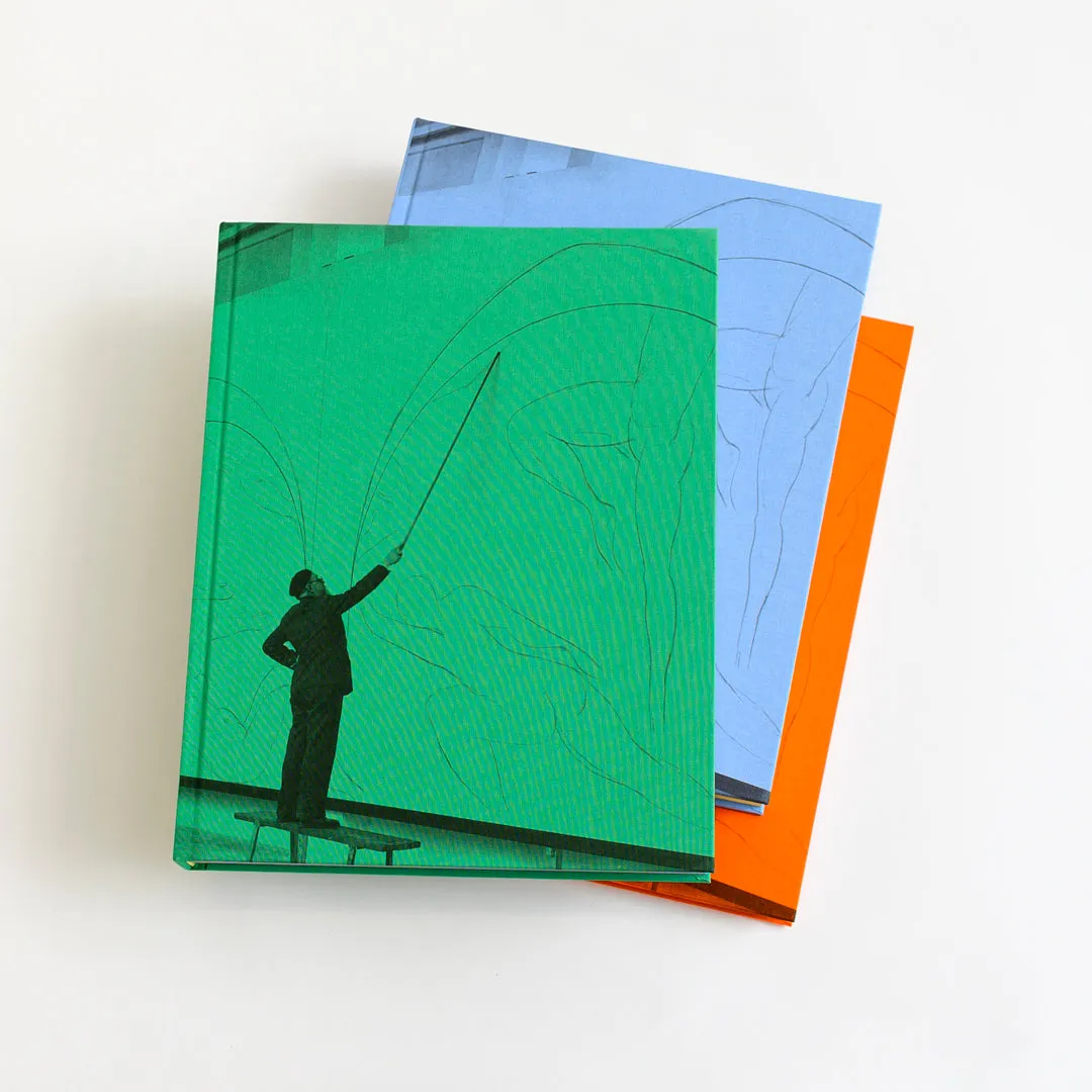 Matisse in the Barnes Foundation boxed set